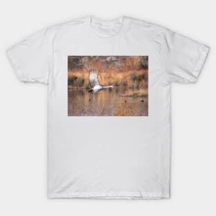 Sandhill Crane T-Shirt